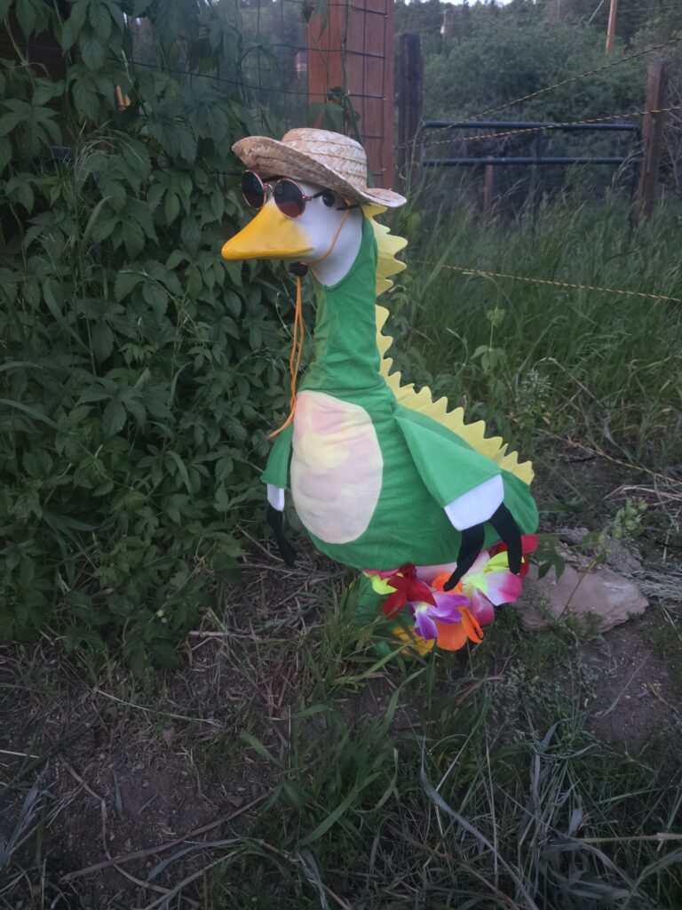 Porch goose with sunhat, sun glasses, wearing a Trex costume